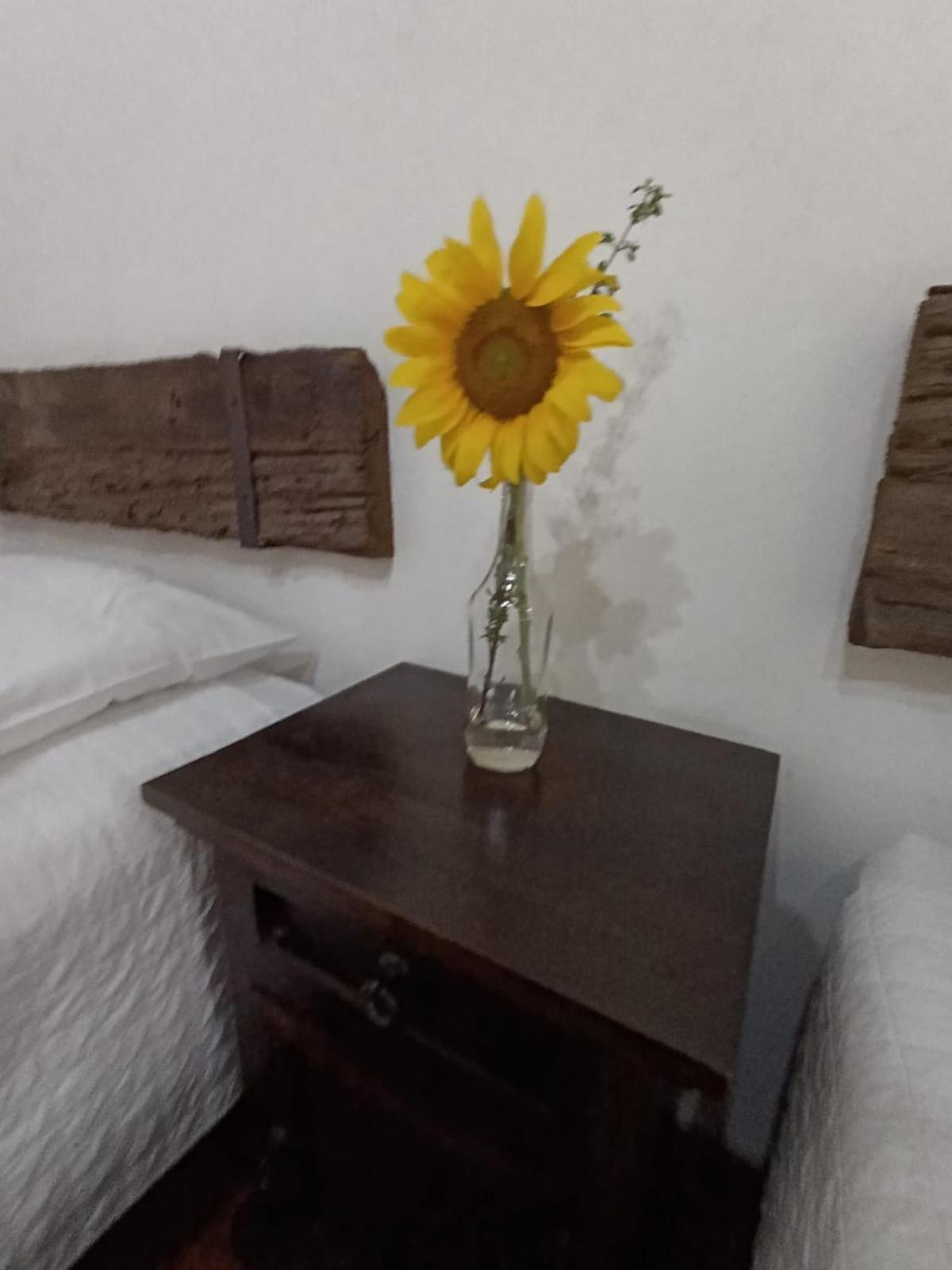 Donde Lico Hotel Antigua Екстериор снимка
